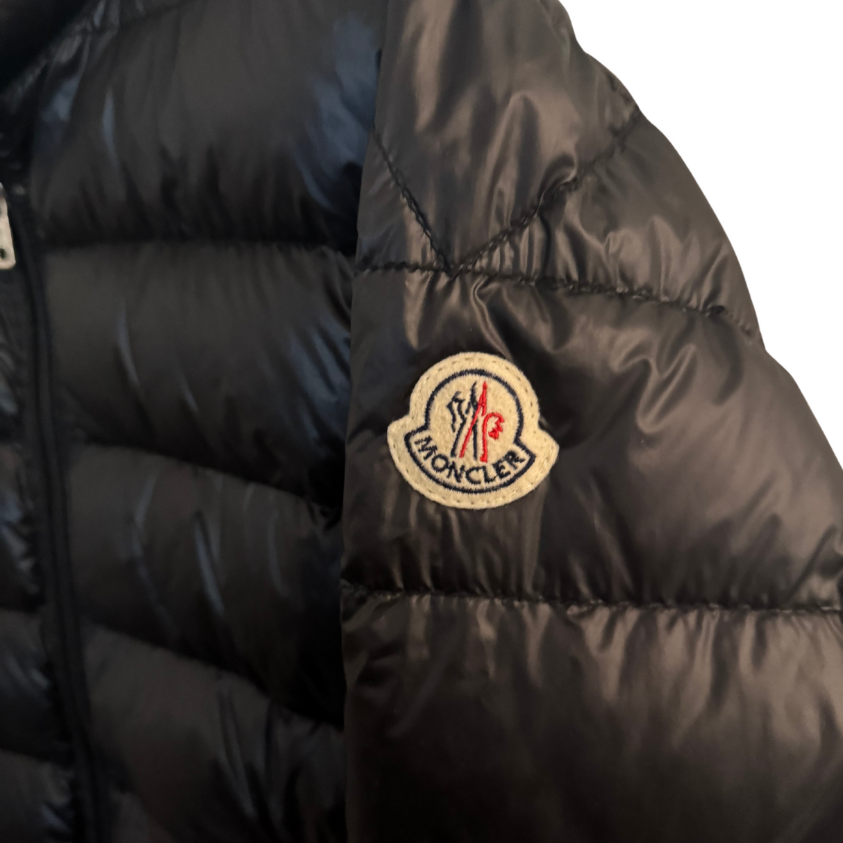 Moncler Acorus Down Jacket / 5