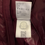 Moncler Lunetiere Down Jacket / 4