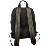 Louis Vuitton Sprinter Backpack