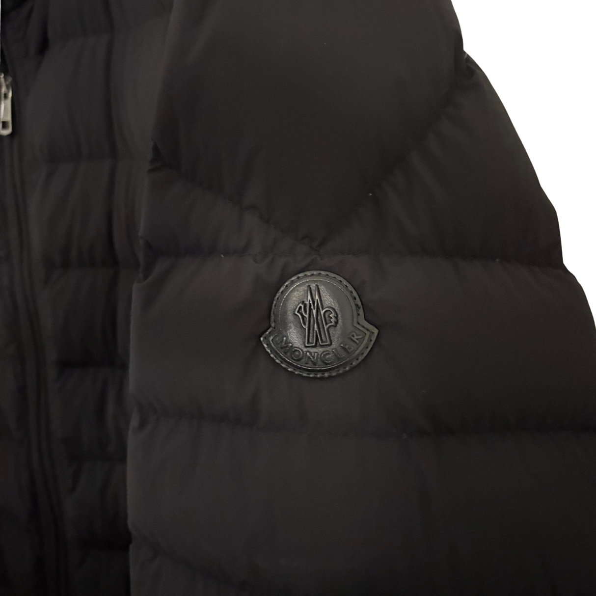 Moncler Acorus Down Jacket / 5